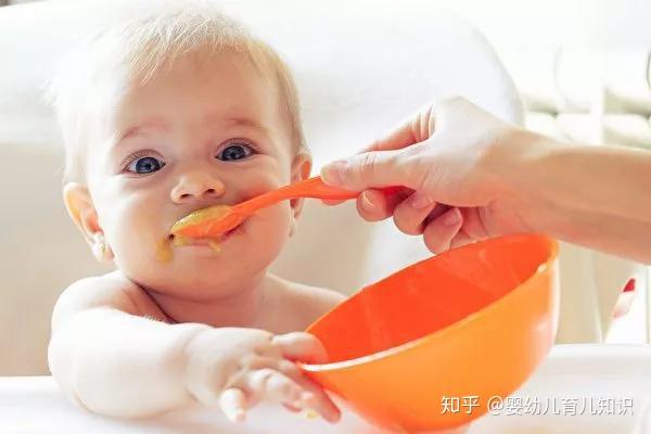 让“树尖”到“舌尖”的距离更短